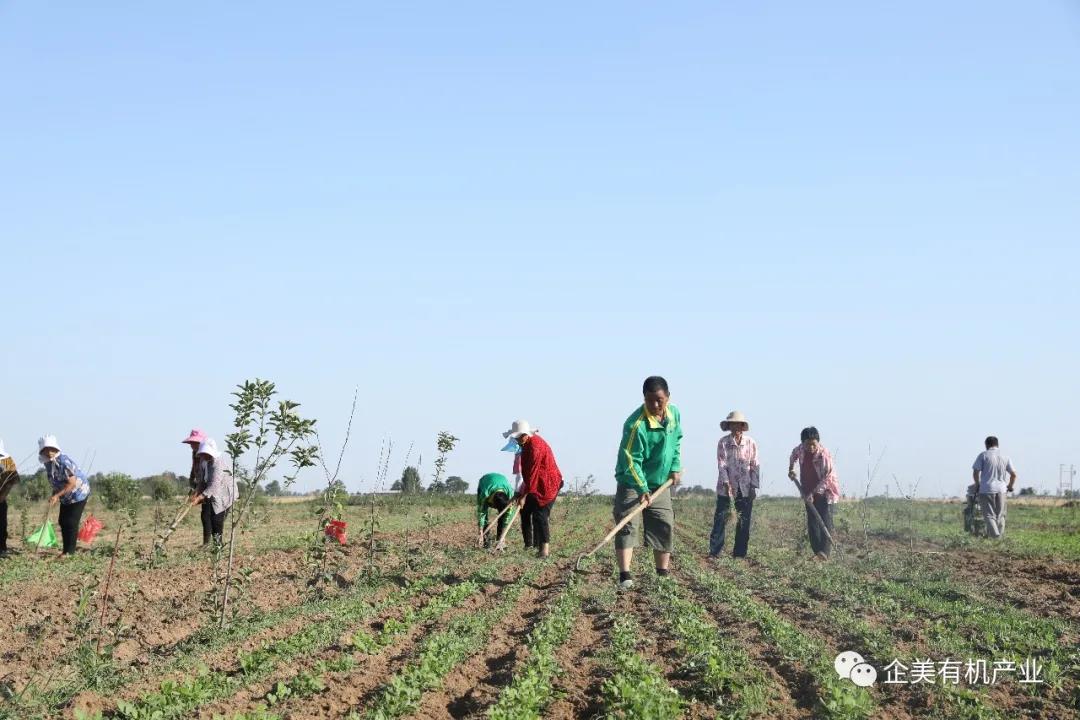 云顶集团3118(中国)官方网站